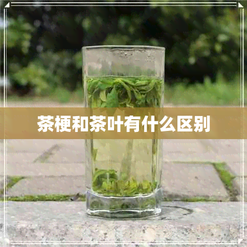 茶梗和茶叶有什么区别