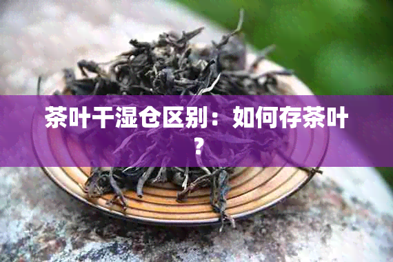 茶叶干湿仓区别：如何存茶叶？