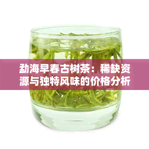 勐海早春古树茶：稀缺资源与独特风味的价格分析