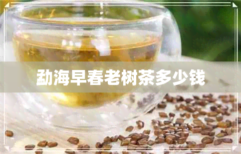 勐海早春老树茶多少钱