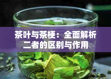 茶叶与茶梗：全面解析二者的区别与作用