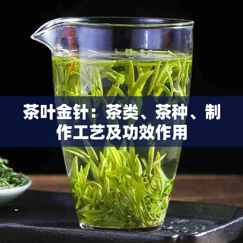 茶叶金针：茶类、茶种、制作工艺及功效作用