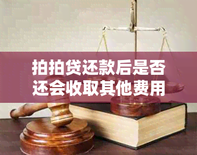 拍拍贷还款后是否还会收取其他费用？全面解析用户关心的问题