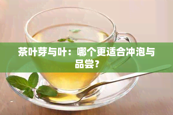 茶叶芽与叶：哪个更适合冲泡与品尝？