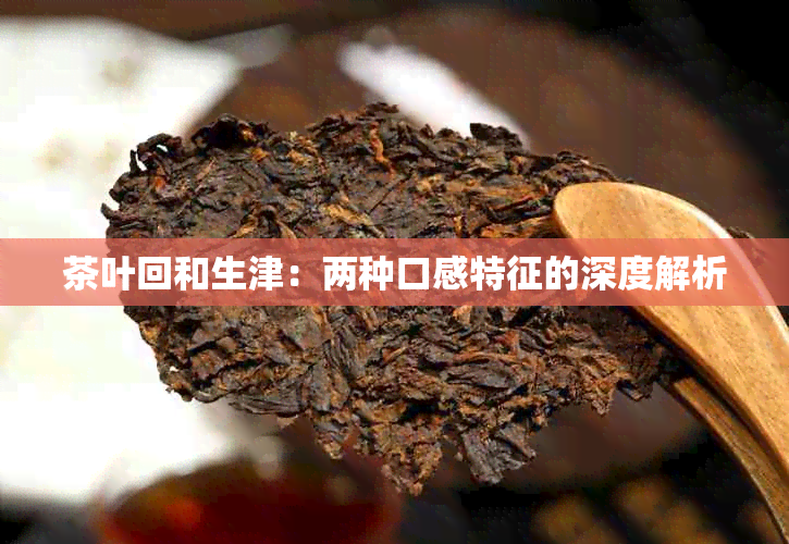 茶叶回和生津：两种口感特征的深度解析