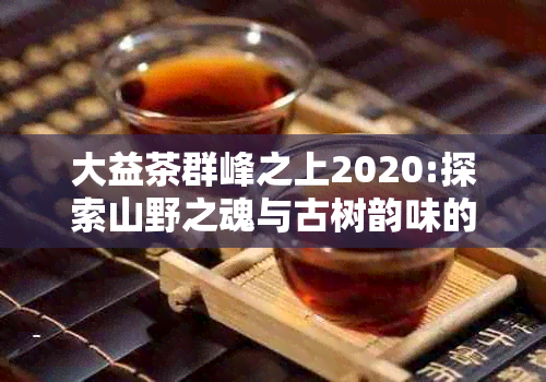 大益茶群峰之上2020:探索山野之魂与古树韵味的蜕变