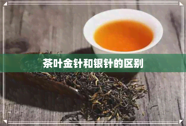 茶叶金针和银针的区别