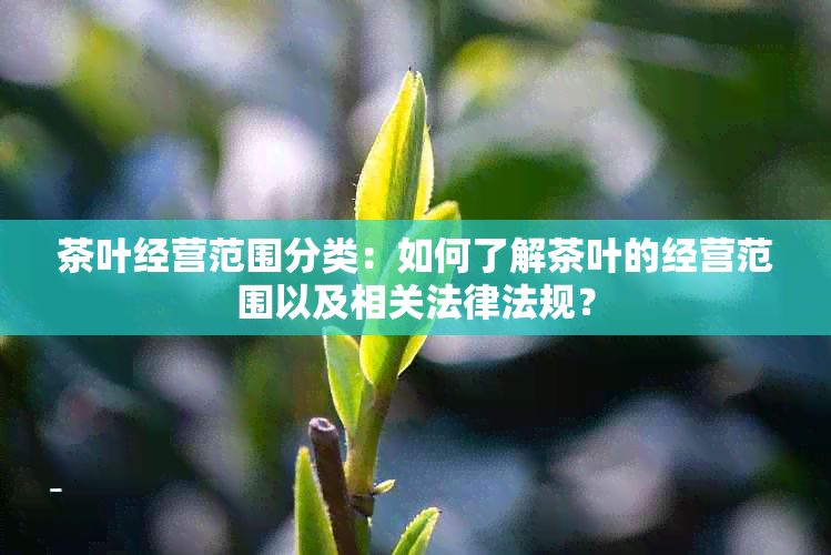 茶叶经营范围分类：如何了解茶叶的经营范围以及相关法律法规？