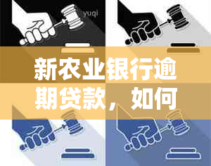 新农业银行逾期贷款，如何争取分期还款处理？