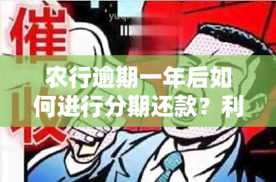 农行逾期一年后如何进行分期还款？利息退款政策详解及处理方法