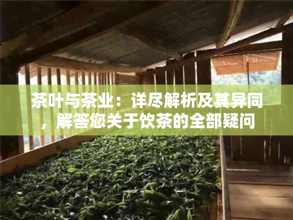 茶叶与茶业：详尽解析及其异同，解答您关于饮茶的全部疑问