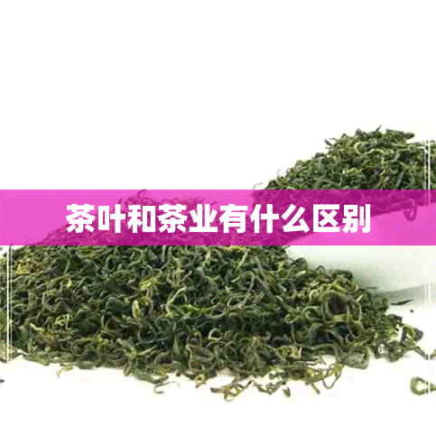 茶叶和茶业有什么区别