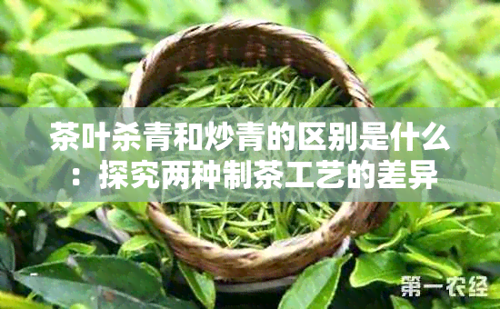 茶叶杀青和炒青的区别是什么：探究两种制茶工艺的差异