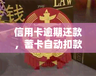 信用卡逾期还款，蓄卡自动扣款的处理方式和注意事项