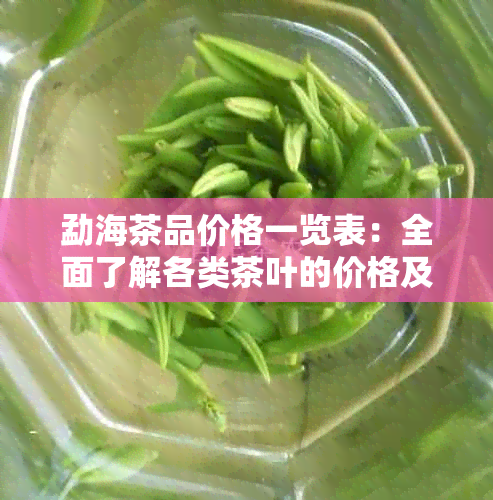 勐海茶品价格一览表：全面了解各类茶叶的价格及特点，轻松选购心仪茶叶