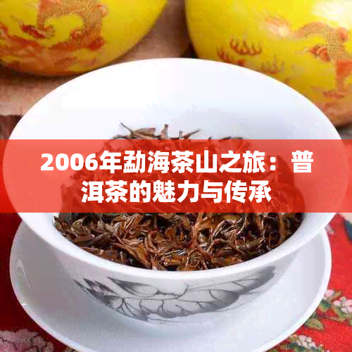 2006年勐海茶山之旅：普洱茶的魅力与传承