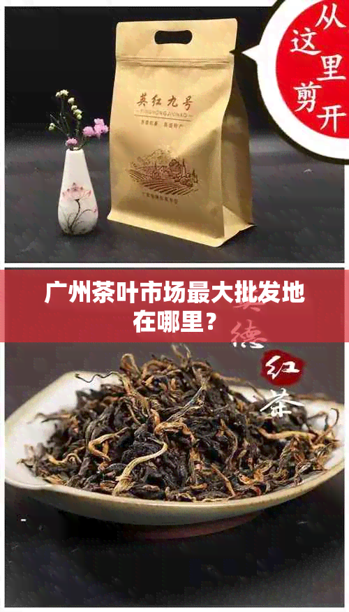 广州茶叶市场更大批发地在哪里？