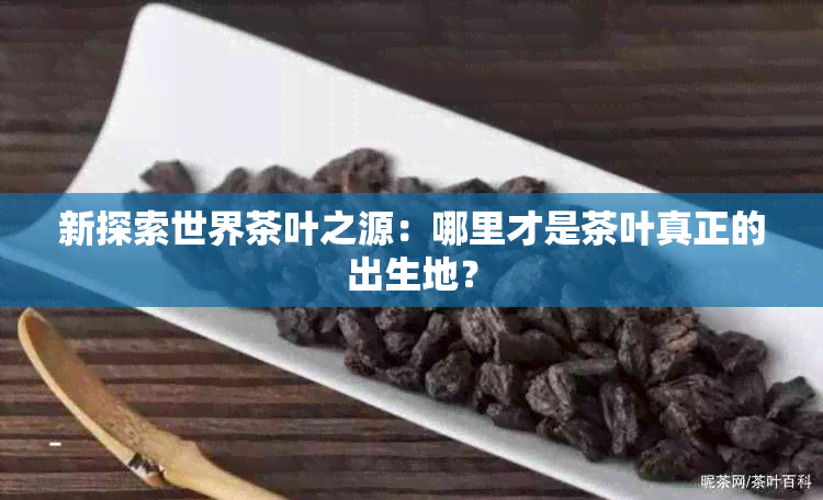 新探索世界茶叶之源：哪里才是茶叶真正的出生地？