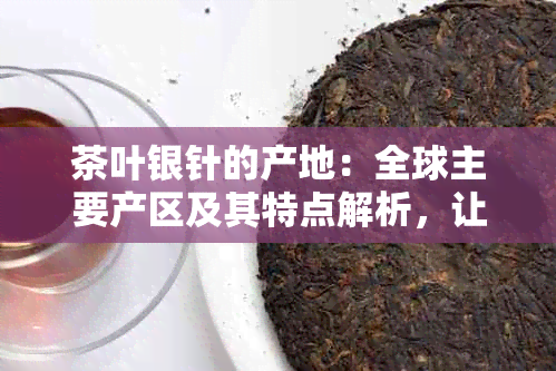 茶叶银针的产地：全球主要产区及其特点解析，让你全面了解这一珍贵茶叶来源