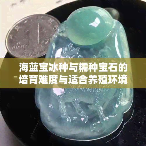 海蓝宝冰种与糯种宝石的培育难度与适合养殖环境的对比分析