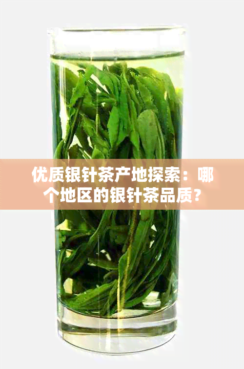 优质银针茶产地探索：哪个地区的银针茶品质？