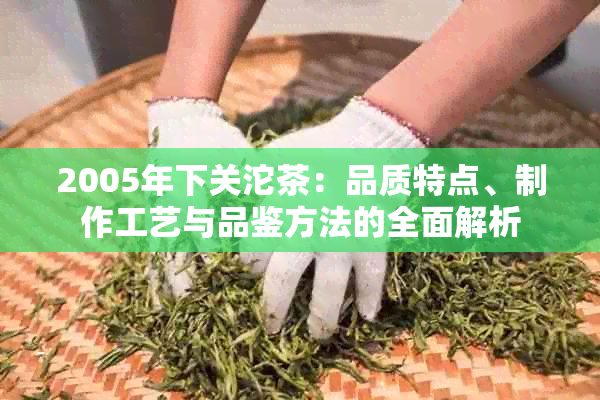 2005年下关沱茶：品质特点、制作工艺与品鉴方法的全面解析