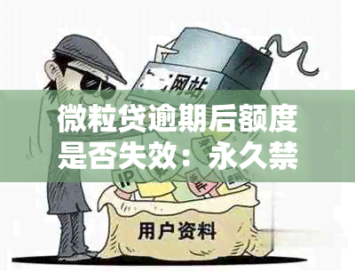 微粒贷逾期后额度是否失效：永久禁用还是可恢复？