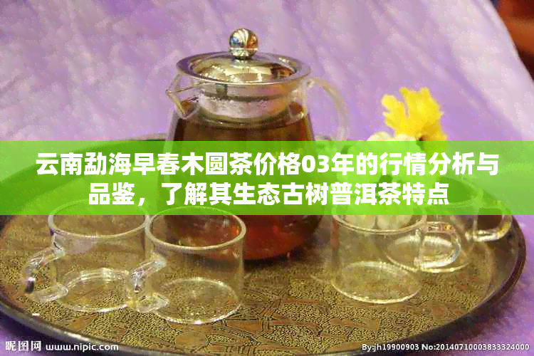 云南勐海早春木圆茶价格03年的行情分析与品鉴，了解其生态古树普洱茶特点