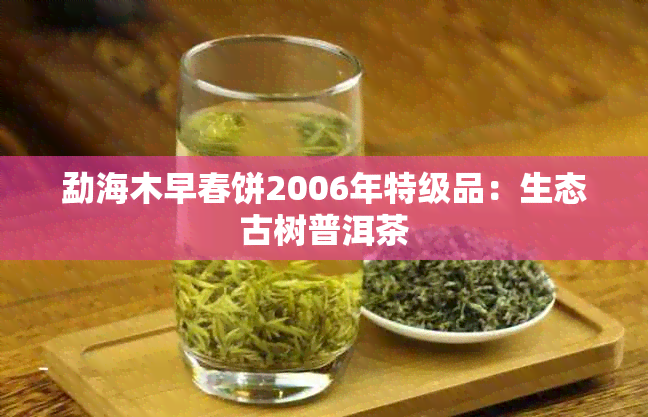 勐海木早春饼2006年特级品：生态古树普洱茶