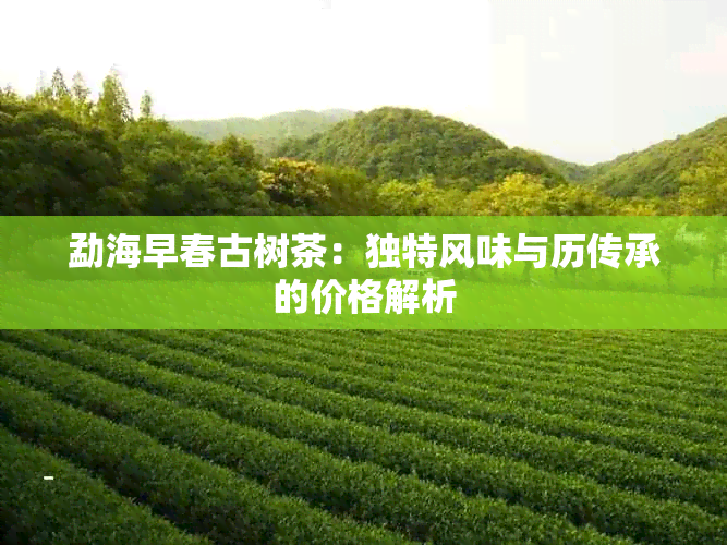 勐海早春古树茶：独特风味与历传承的价格解析