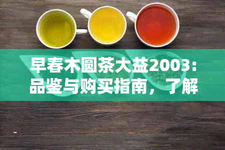 早春木圆茶大益2003:品鉴与购买指南，了解产地、口感等全面信息