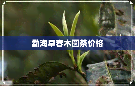 勐海早春木圆茶价格