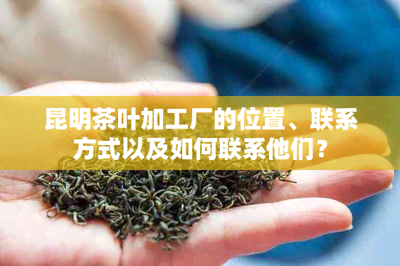 昆明茶叶加工厂的位置、联系方式以及如何联系他们？