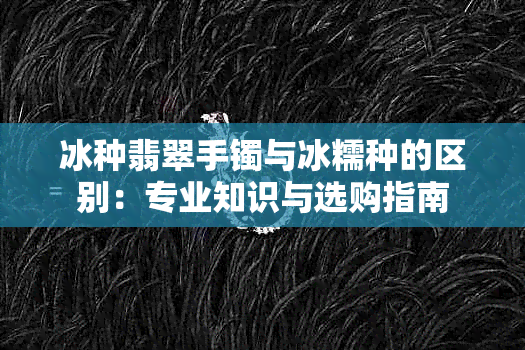 冰种翡翠手镯与冰糯种的区别：专业知识与选购指南