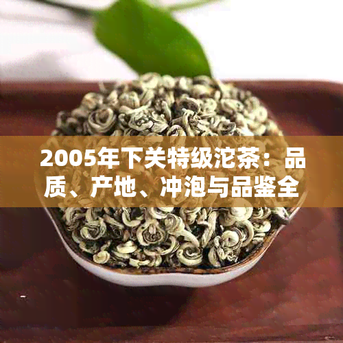 2005年下关特级沱茶：品质、产地、冲泡与品鉴全方位解析