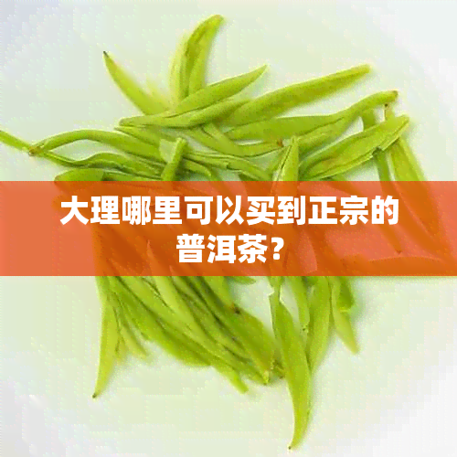 大理哪里可以买到正宗的普洱茶？