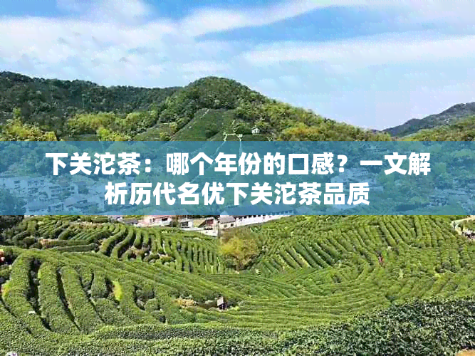 下关沱茶：哪个年份的口感？一文解析历代名优下关沱茶品质