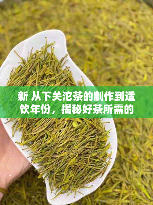 新 从下关沱茶的制作到适饮年份，揭秘好茶所需的时间