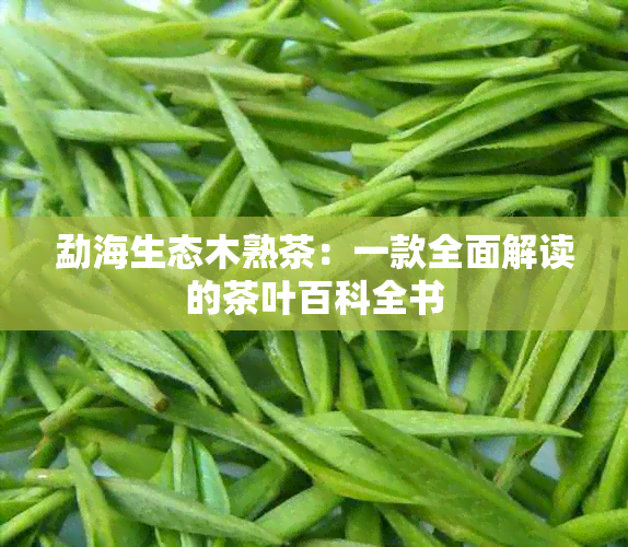 勐海生态木熟茶：一款全面解读的茶叶百科全书