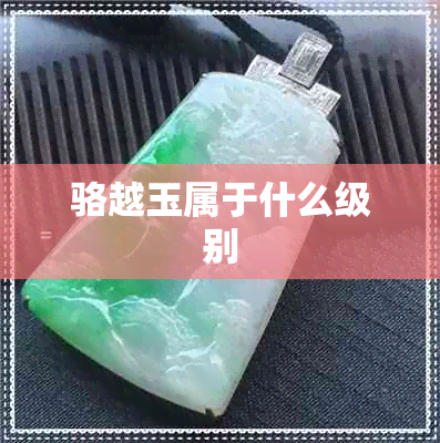 骆越玉属于什么级别