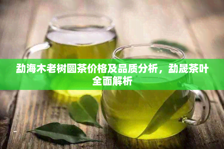 勐海木老树圆茶价格及品质分析，勐晟茶叶全面解析