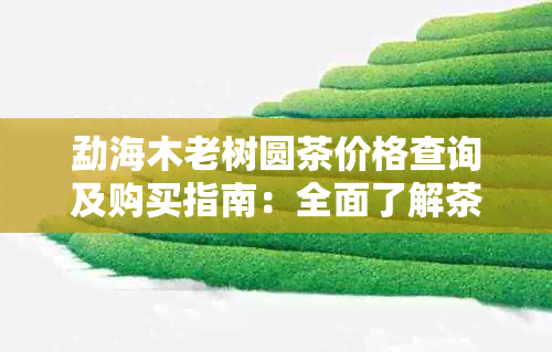 勐海木老树圆茶价格查询及购买指南：全面了解茶叶品种、质量和口感