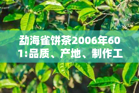 勐海雀饼茶2006年601:品质、产地、制作工艺及口感全面解析