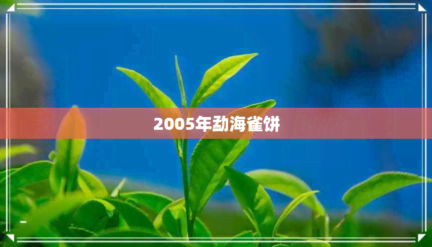 2005年勐海雀饼