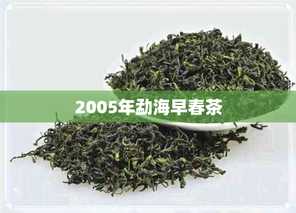 2005年勐海早春茶