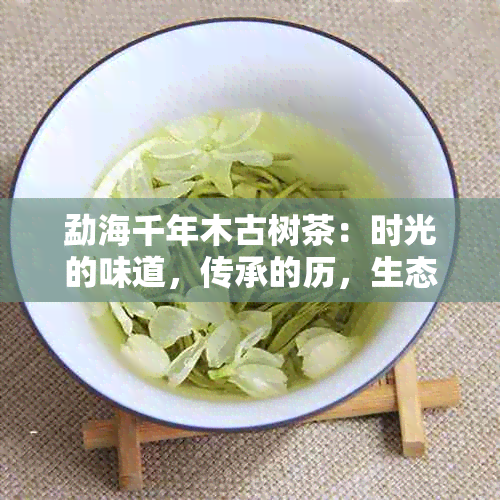 勐海千年木古树茶：时光的味道，传承的历，生态的守护者