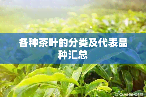 各种茶叶的分类及代表品种汇总