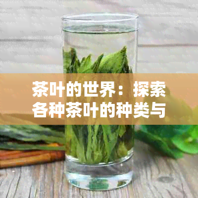 茶叶的世界：探索各种茶叶的种类与特性