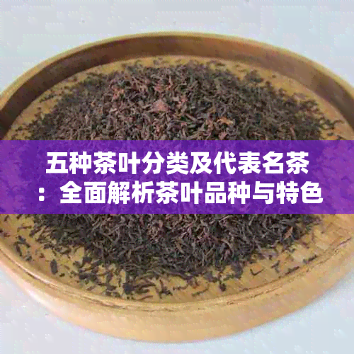 五种茶叶分类及代表名茶：全面解析茶叶品种与特色，助你挑选最适合的茶品