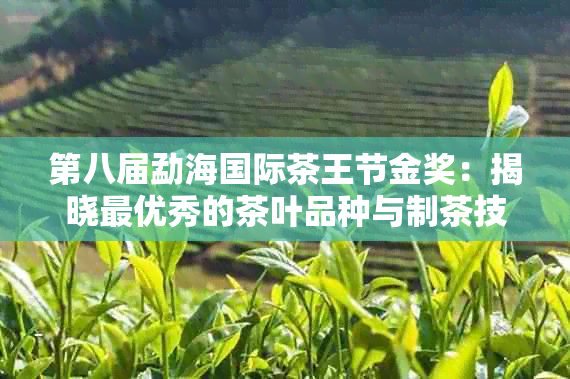 第八届勐海国际茶王节金奖：揭晓更优秀的茶叶品种与制茶技艺